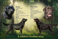 /album/daimiko-kveten-2025/plakatek-png/